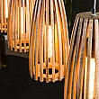 Luster 74-48 4L Launch Drevo Mango